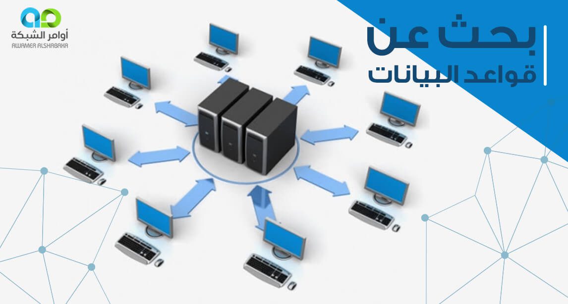 بحث عن قاعدة البيانات: كل ما تحتاج لمعرفته