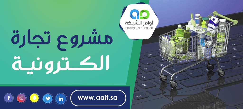 مشروع تجارة الكترونية ناجح