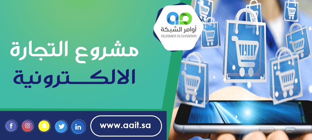 مشروع تجارة الكترونية ناجح